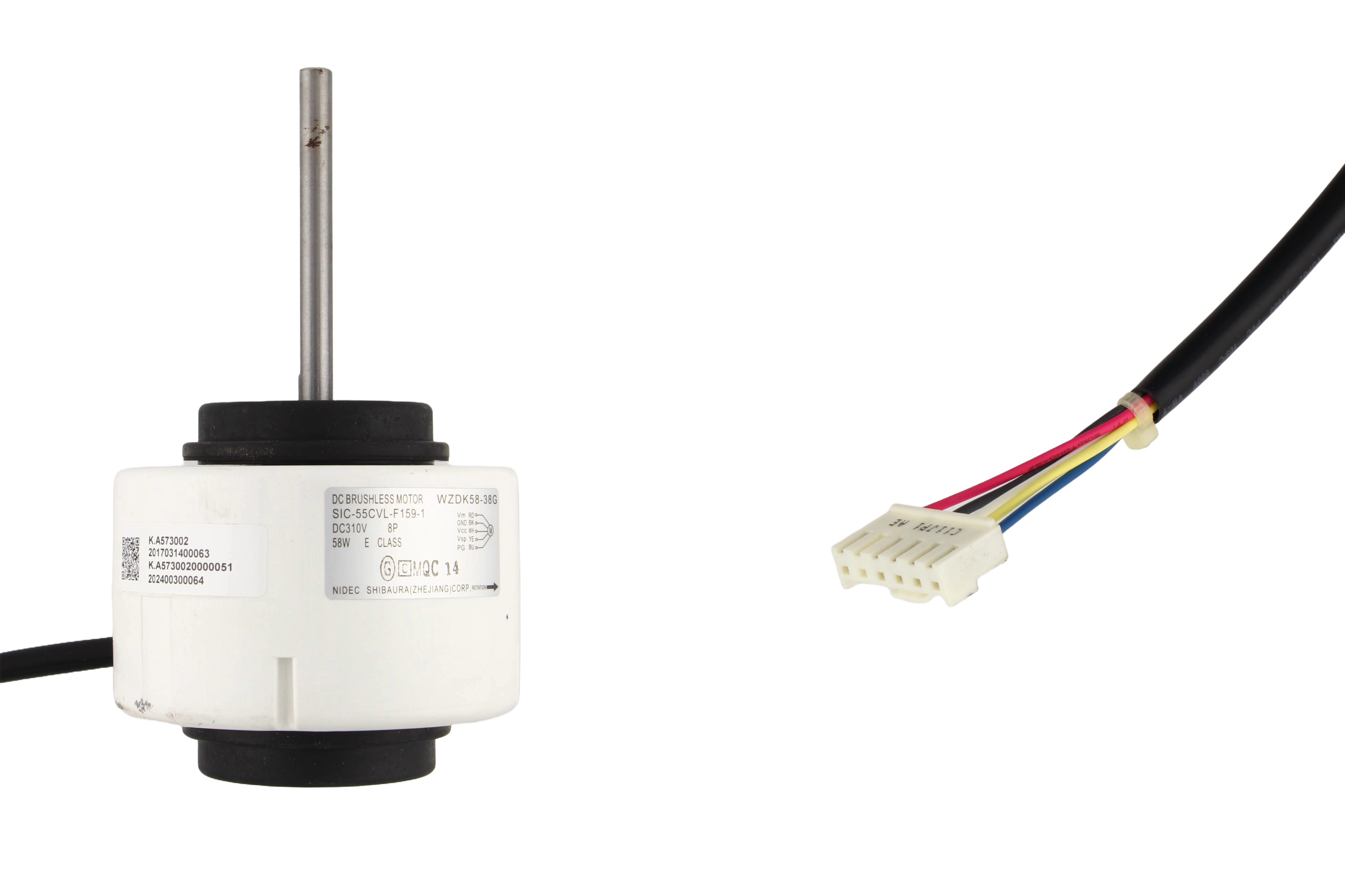 Brushless DC Motor