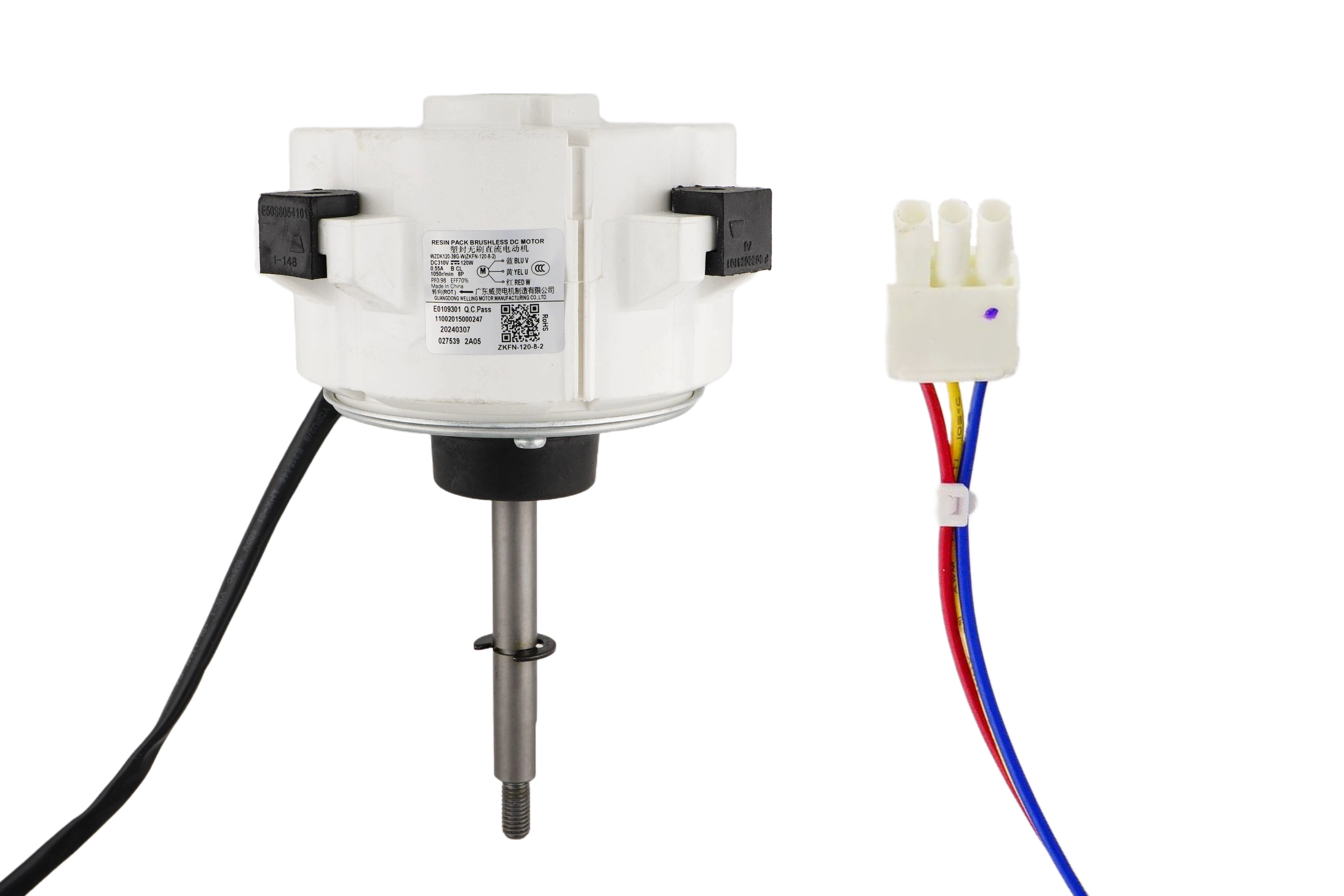 Brushless DC Motor