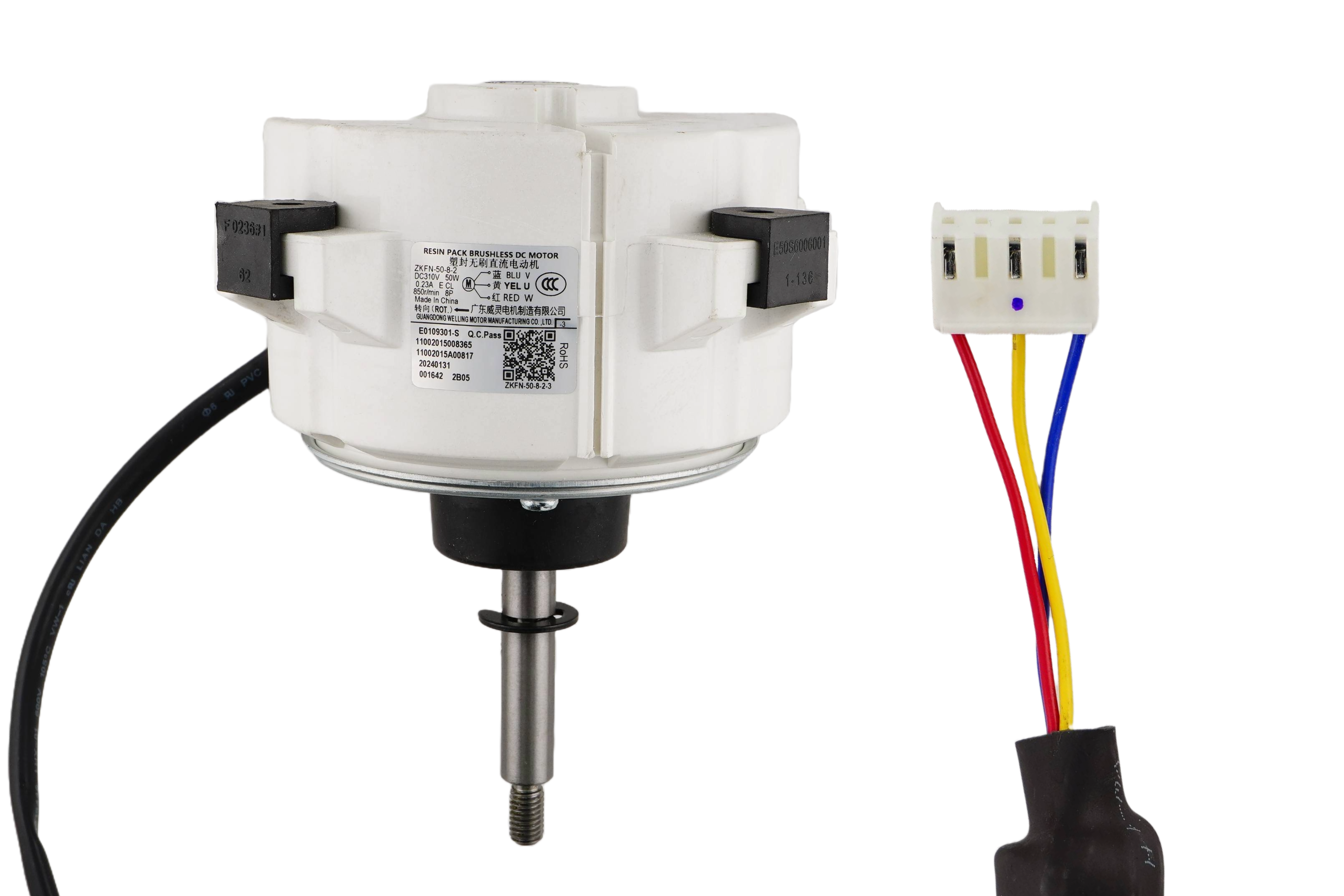Brushless DC Motor