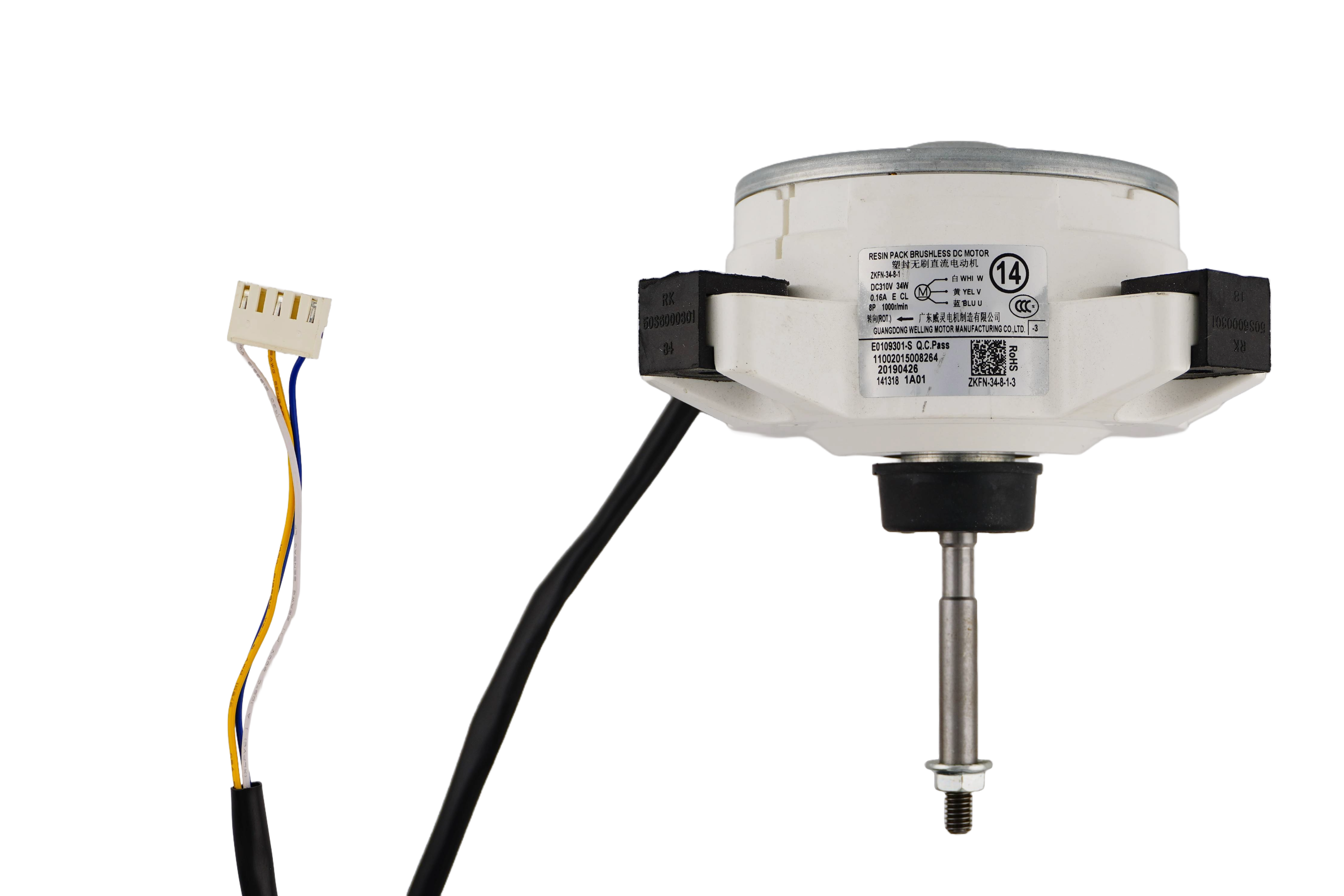 Brushless DC Motor