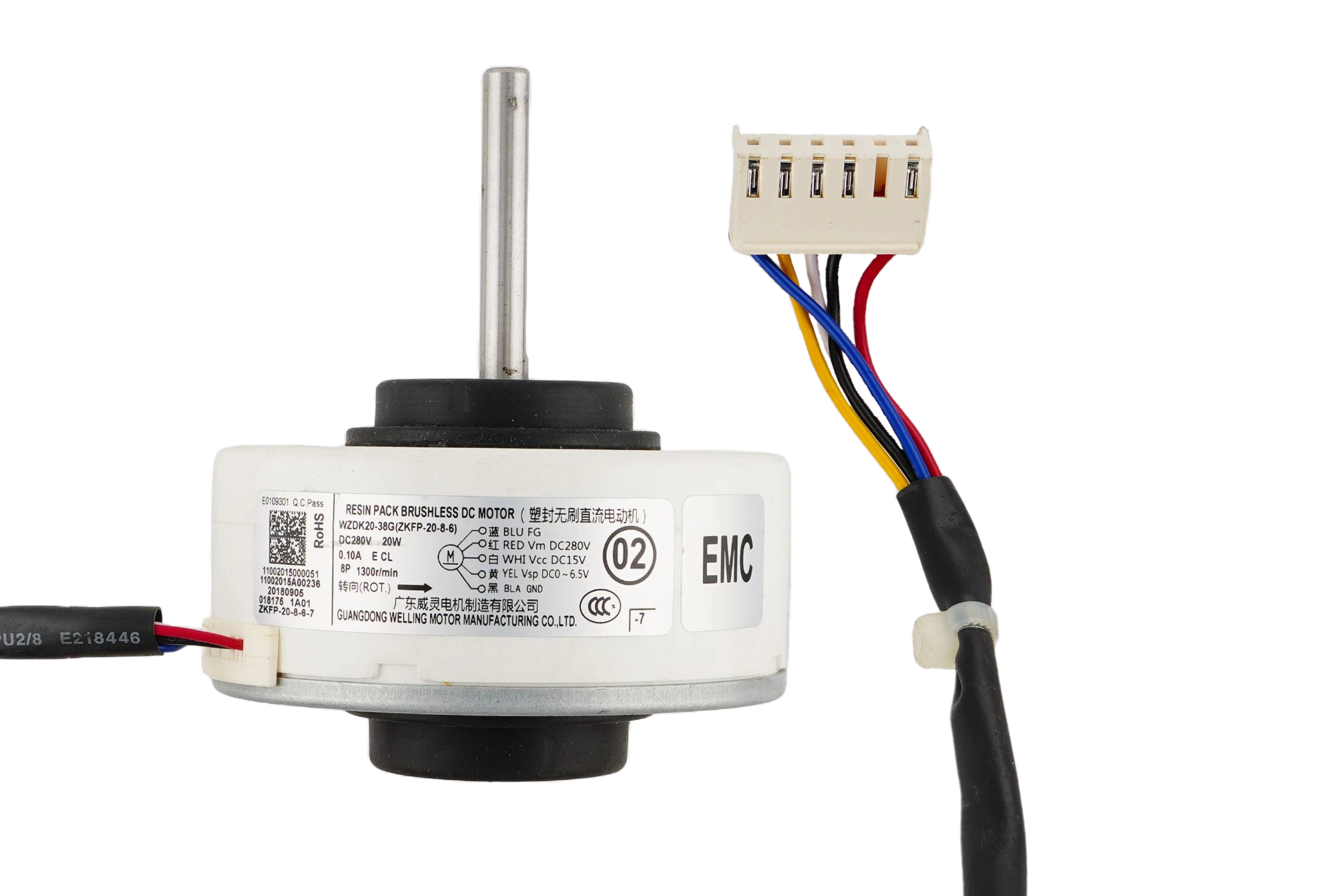 Brushless DC Motor