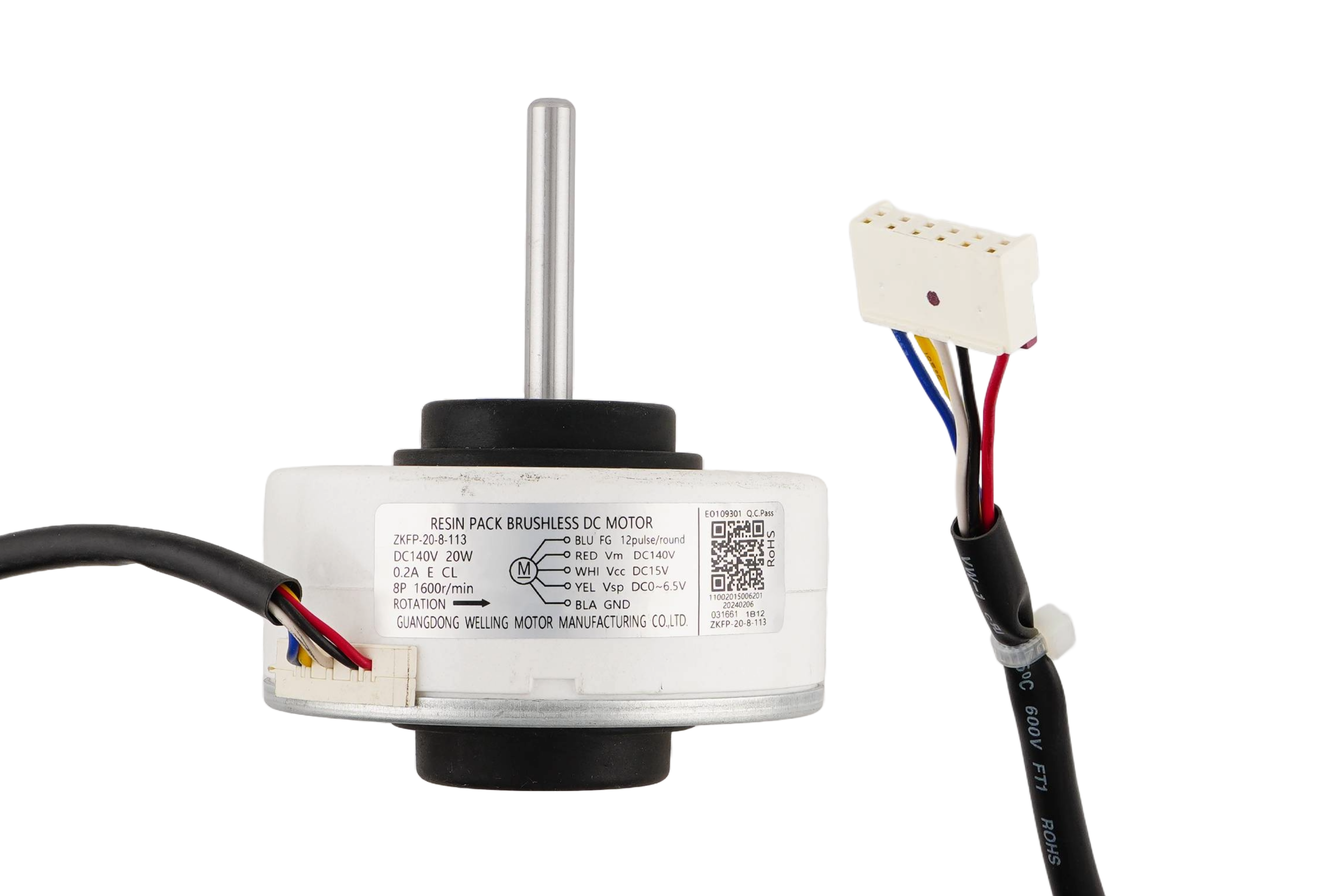 Brushless DC Motor
